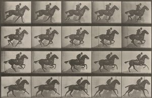  作： Eadweard Muybridge