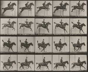  作： Eadweard Muybridge