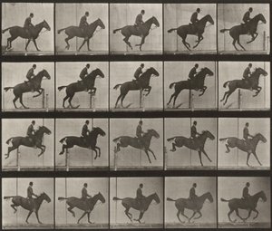  作： Eadweard Muybridge