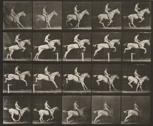  作： Eadweard Muybridge