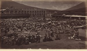 広場と総督邸-アンティグア・デ・グアテマラ、1877年（写真） 作： エドワード・マイブリッジ