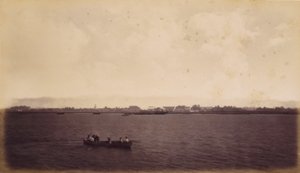プンタ・アレナス、コスタリカ 作： Eadweard Muybridge