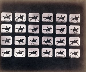 Eadweard J. Muybridge（エドワード・J・マイブリッジ）の「Running（Galloping）」。 作： Eadweard Muybridge