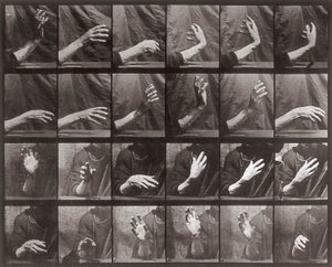 手の動きのシーケンス、Animal Locomotion（コロタイプ）のプレート535 作： Eadweard Muybridge