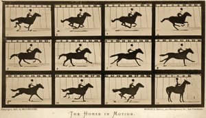 動く馬、「動物の移動」シリーズ、1878年