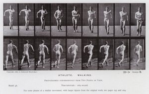 動いている人間の姿。アスリート、ウォーキング（モノクロ写真 作： Eadweard Muybridge