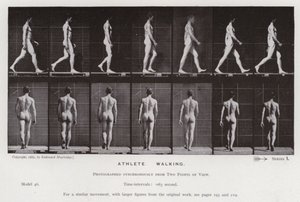 動いている人間の姿。アスリート、ウォーキング（モノクロ写真 作： Eadweard Muybridge