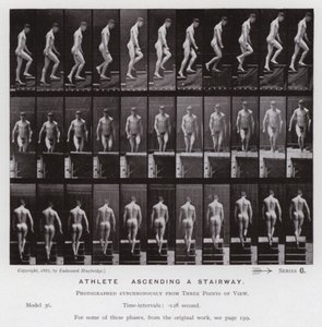動きのある人間像階段を昇るアスリート（モノクロ写真 作： Eadweard Muybridge