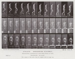 動きのある人間像階段を降りるアスリート（モノクロ写真 作： Eadweard Muybridge