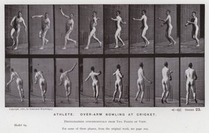 動きのある人間像アスリート、クリケットでのオーバーアーム・ボウリング（モノクロ写真 作： Eadweard Muybridge
