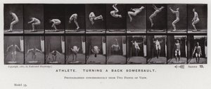 動きのある人間像。バック宙をするアスリート（モノクロ写真 作： Eadweard Muybridge