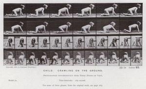 動いている人物：子供、地面を這う 作： Eadweard Muybridge