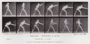 動いている人間の姿。殴り合いをする闘士（モノクロ写真 作： Eadweard Muybridge