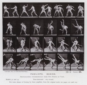 動いている人間の姿。闘士、ボクシング（モノクロ写真 作： Eadweard Muybridge