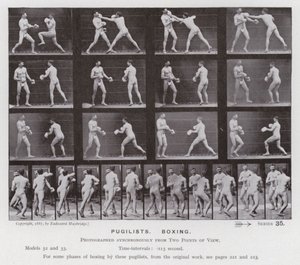 動いている人間の姿。闘士、ボクシング（モノクロ写真 作： Eadweard Muybridge