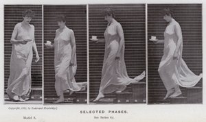 動いている人間の姿。選択されたフェーズ（モノクロ写真 作： Eadweard Muybridge