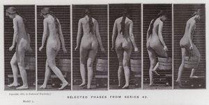 動きのある人間の姿。シリーズ42からの選択段階（モノクロ写真 作： Eadweard Muybridge