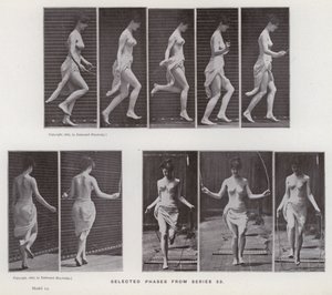動きのある人間の姿。シリーズ53からの選択段階（モノクロ写真 作： Eadweard Muybridge