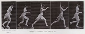 動きのある人間の姿。シリーズ54からの選択段階（モノクロ写真 作： Eadweard Muybridge