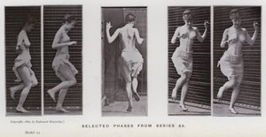 動きのある人間の姿。シリーズ55からの選択段階（モノクロ写真 作： Eadweard Muybridge
