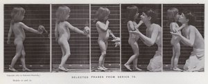 動きのある人間の姿。シリーズ79からの選択段階（モノクロ写真 作： Eadweard Muybridge