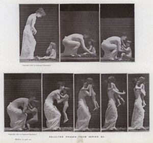 動きのある人間像。シリーズ80からの選択段階（モノクロ写真 作： Eadweard Muybridge