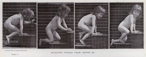 動きのある人間の姿。シリーズ86からの選択段階（モノクロ写真 作： Eadweard Muybridge