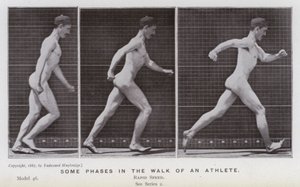 動きのある人間像。アスリートの歩き方のいくつかの段階（モノクロ写真 作： Eadweard Muybridge