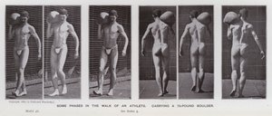 動きの中の人間像。75ポンドのボルダーを運ぶアスリートの歩行のいくつかの局面（モノクロ写真 作： Eadweard Muybridge