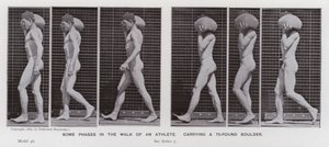動きの中の人間像。75ポンドのボルダーを運ぶアスリートの歩行のいくつかの局面（モノクロ写真 作： Eadweard Muybridge