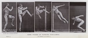 動きのある人間像。ハイジャンプを行う際のいくつかの段階（モノクロ写真 作： Eadweard Muybridge