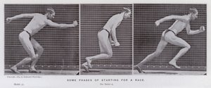動く人間の姿。レーススタート時のいくつかの局面（モノクロ写真 作： Eadweard Muybridge