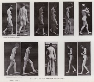 動く人間の姿。様々な条件での歩行（モノクロ写真 作： Eadweard Muybridge