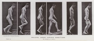動く人間の姿。様々な条件での歩行（モノクロ写真 作： Eadweard Muybridge