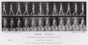 動く人間の姿。歩く女性（モノクロ写真 作： Eadweard Muybridge