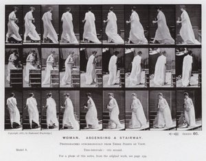 動きのある人間像階段を上る女性（モノクロ写真 作： Eadweard Muybridge