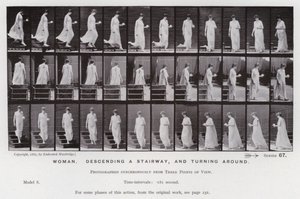 動く人間の姿。女性、階段を降りる、振り向く（モノクロ写真 作： Eadweard Muybridge