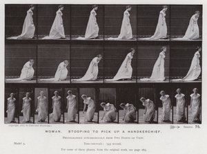 動きのある人間像ハンカチを拾うために身をかがめる女性（モノクロ写真 作： Eadweard Muybridge