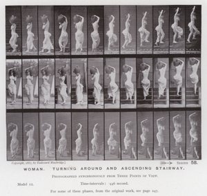動きのある人間像。振り向きざまに階段を上る女性（モノクロ写真 作： Eadweard Muybridge