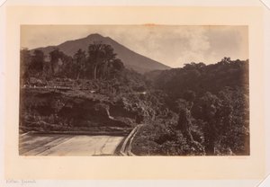 ズニル火山、グアテマラ 作： Eadweard Muybridge