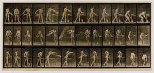 洗面器の水を空にする女性（『Animal Locomotion』より