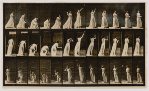 ボールを拾って投げる女性（『Animal Locomotion』より 作： エドワード・マイブリッジ
