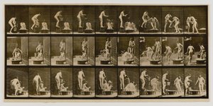 別の女性の頭に水をかける女性（『動物の運動』より 作： Eadweard Muybridge