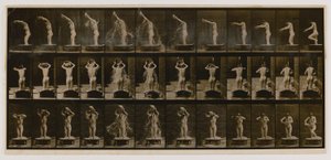 頭から洗面器に水をかける女性（『Animal Locomotion』より 作： Eadweard Muybridge