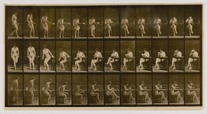 座って足を組み、ティーカップで水を飲む女性（『Animal Locomotion』より 作： Eadweard Muybridge