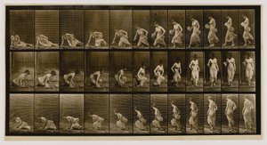 地面に座る女性（『動物の運動』より 作： Eadweard Muybridge