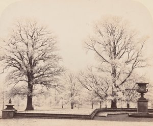 公園の風景、1862年のホアフロスト。