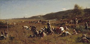 クランベリーの収穫。ナンタケット島、1880 作： Eastman Johnson