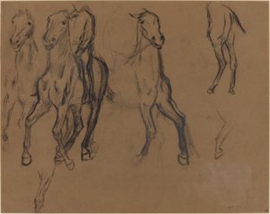 馬の研究、1886年頃（茶色の紙に木炭と黒鉛） 作： Edgar Degas