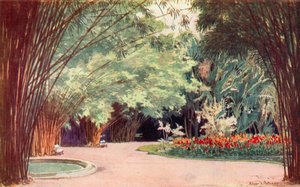 竹林、植物園 (カラー リソ) 作： Edgar L. Pattison